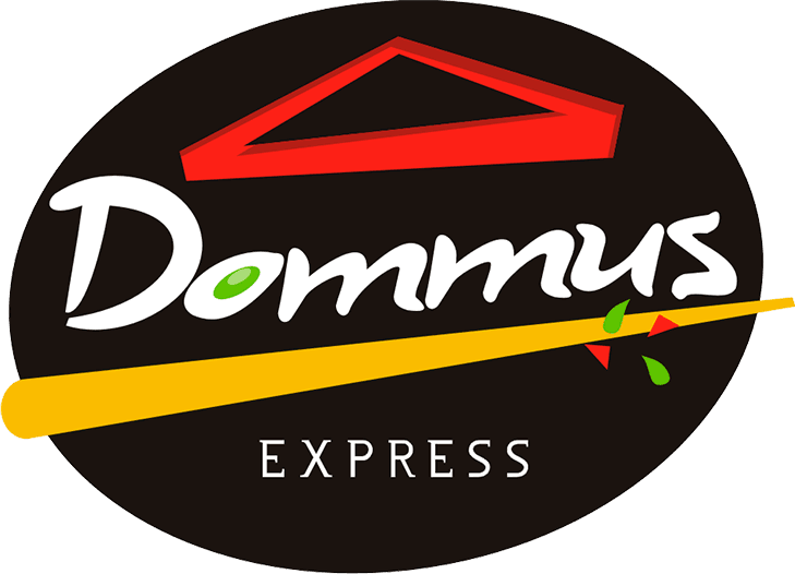 Logo Dommus
